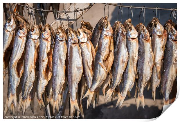 Smoked fish on a farmers market from Lake Issyk Kul in Kyrgyzsta Print by Frank Bach