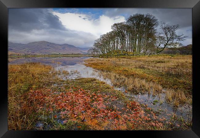 Autumn leaves, Loch Awe Framed Print by Gary Eason