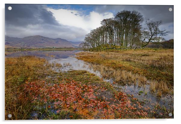 Autumn leaves, Loch Awe Acrylic by Gary Eason