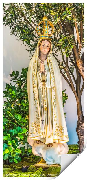 Fatima Mary Statue Mission Nombre Dios Saint Augustine Florida Print by William Perry
