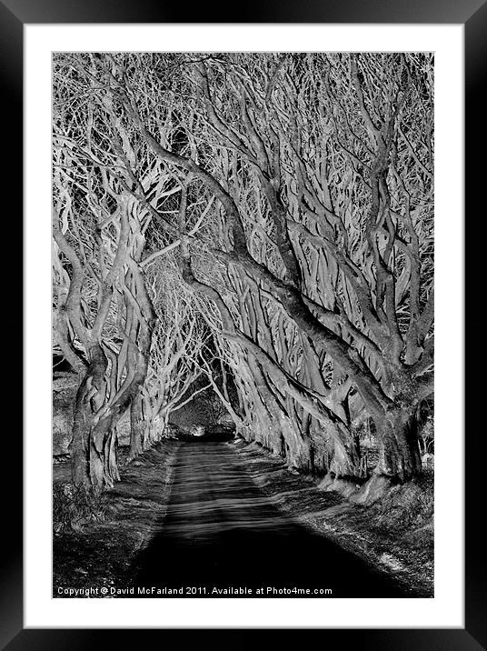 Spooky path Framed Mounted Print by David McFarland