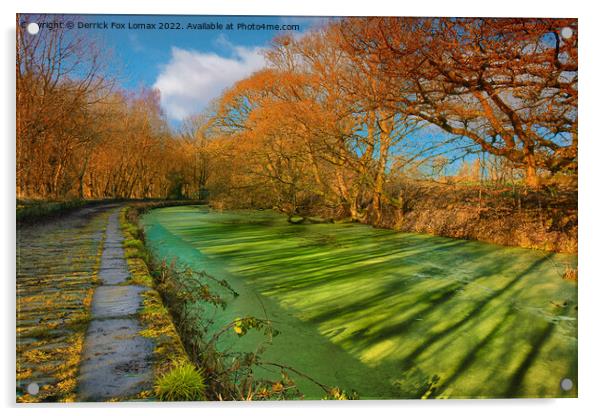 Bolton and Bury Canal Acrylic by Derrick Fox Lomax