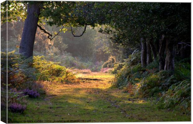 A walk in the woods Canvas Print by Nick Keown
