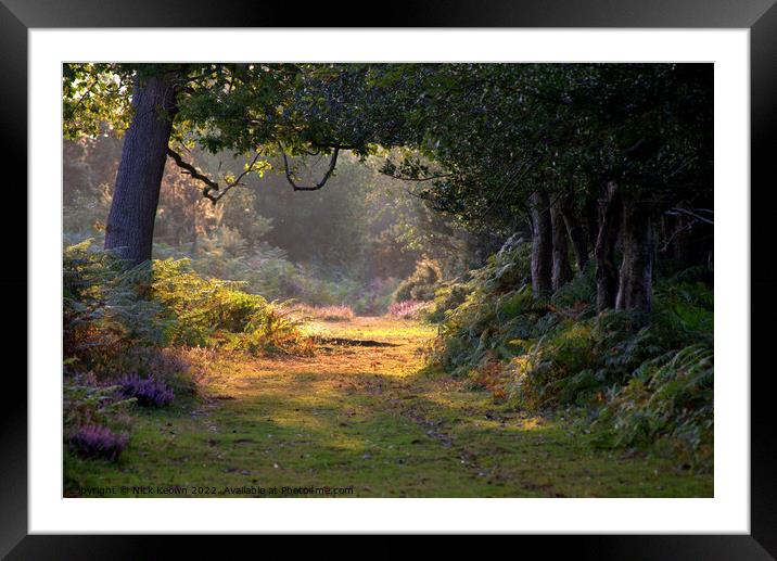 A walk in the woods Framed Mounted Print by Nick Keown