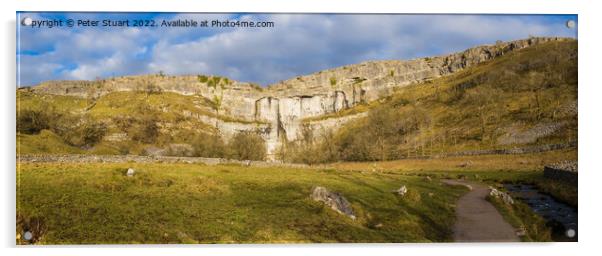 Malham Cove above Malham in the Yorkshire Dales Acrylic by Peter Stuart