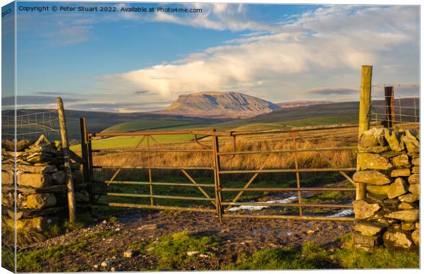 Pen-Y-Ghent from above Stainforth in the Yorkshire Dales Canvas Print by Peter Stuart