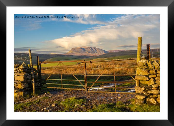 Pen-Y-Ghent from above Stainforth in the Yorkshire Dales Framed Mounted Print by Peter Stuart
