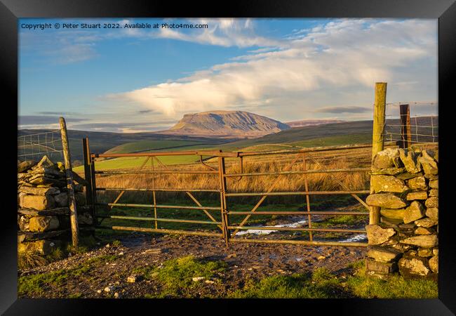 Pen-Y-Ghent from above Stainforth in the Yorkshire Dales Framed Print by Peter Stuart