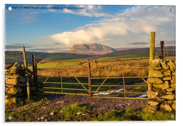 Pen-Y-Ghent from above Stainforth in the Yorkshire Dales Acrylic by Peter Stuart