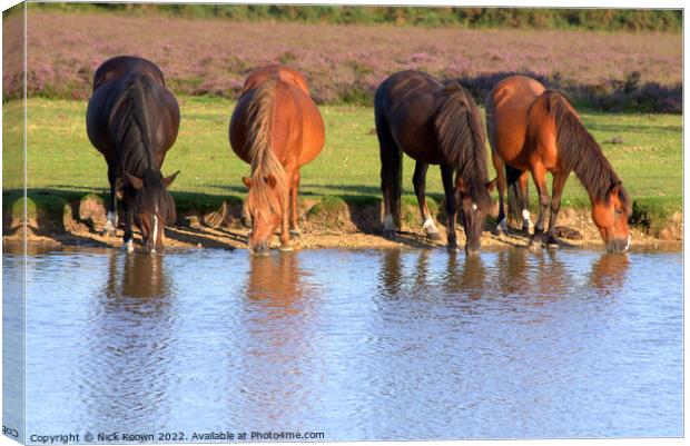Watering Hole Canvas Print by Nick Keown