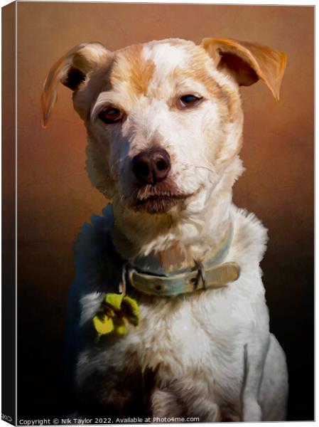 Animal dog Canvas Print by Nik Taylor