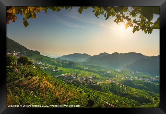 Prosecco Hills, vineyards panorama in the morning. Unesco Site.  Framed Print by Stefano Orazzini