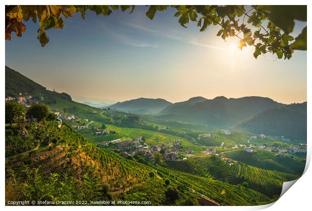 Prosecco Hills, vineyards panorama in the morning. Unesco Site.  Print by Stefano Orazzini