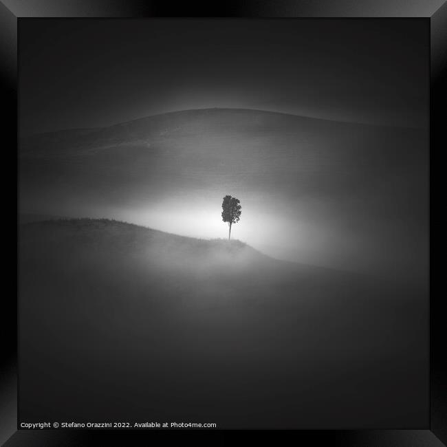 Alone in the Fog Framed Print by Stefano Orazzini