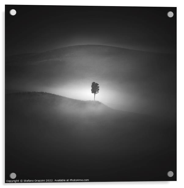 Alone in the Fog Acrylic by Stefano Orazzini