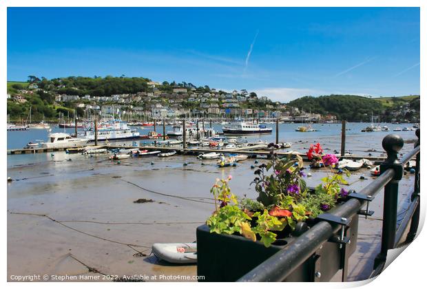 Dartmouth and Kingswear Print by Stephen Hamer
