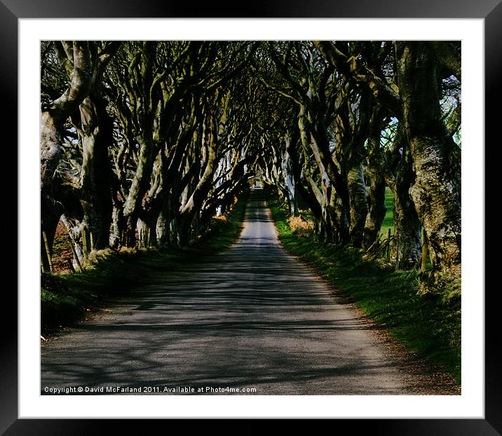 Scary path Framed Mounted Print by David McFarland