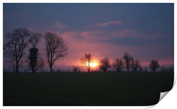 A glimpse of morning sunlight  Print by Simon Johnson