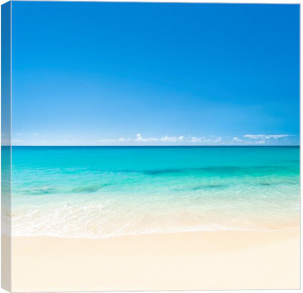 Caribbean Calm Canvas Print by Justin Foulkes