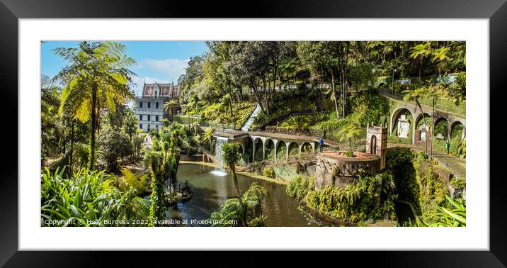 Enchanting Floral Haven, Madeira Botanical Garden Framed Mounted Print by Holly Burgess