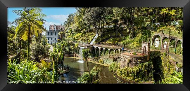 Enchanting Floral Haven, Madeira Botanical Garden Framed Print by Holly Burgess