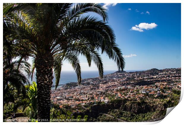 Enigmatic Panorama of Madeira Island Print by Holly Burgess