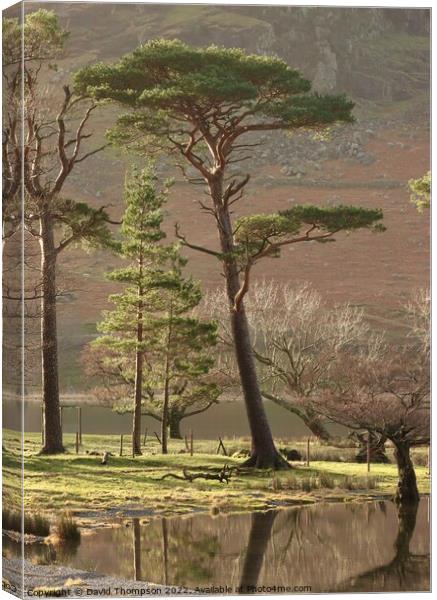 Buttermere Lake District Canvas Print by David Thompson