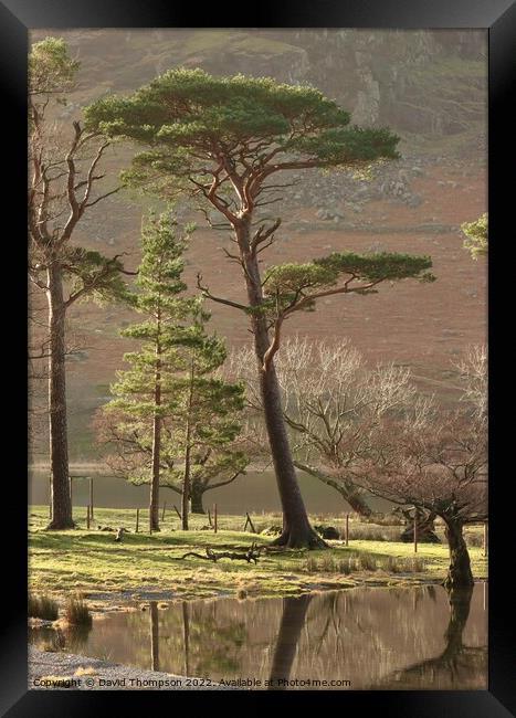 Buttermere Lake District Framed Print by David Thompson