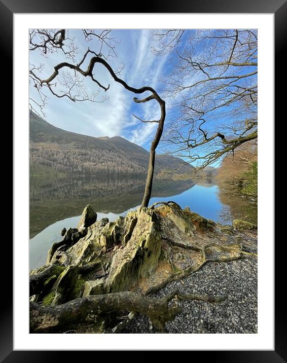 Buttermere Lake District  Framed Mounted Print by David Thompson