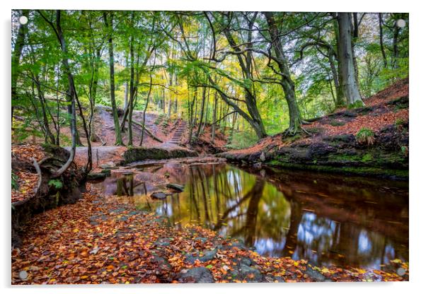 Autumn Season at Roddlesworth Woods Acrylic by Shafiq Khan