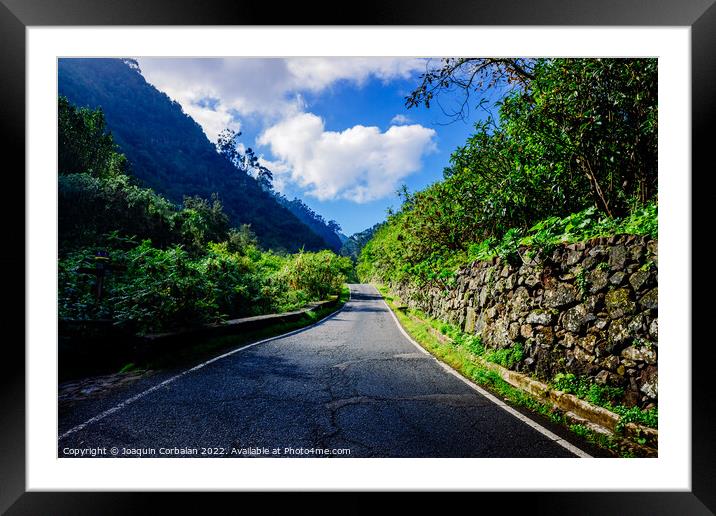 Beautiful road between tropical mountains of a leafy and paradis Framed Mounted Print by Joaquin Corbalan