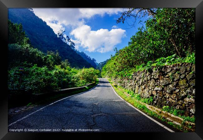 Beautiful road between tropical mountains of a leafy and paradis Framed Print by Joaquin Corbalan