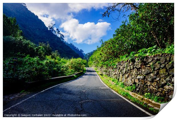 Beautiful road between tropical mountains of a leafy and paradis Print by Joaquin Corbalan