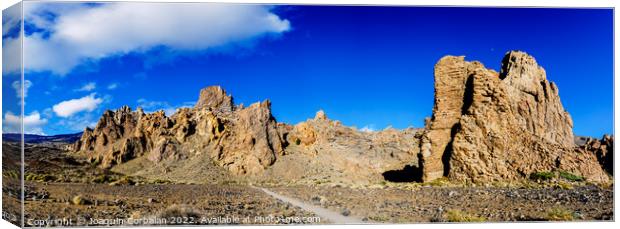 Panoramic landscape in Roques de Garcia, Tenerife, spectacular v Canvas Print by Joaquin Corbalan