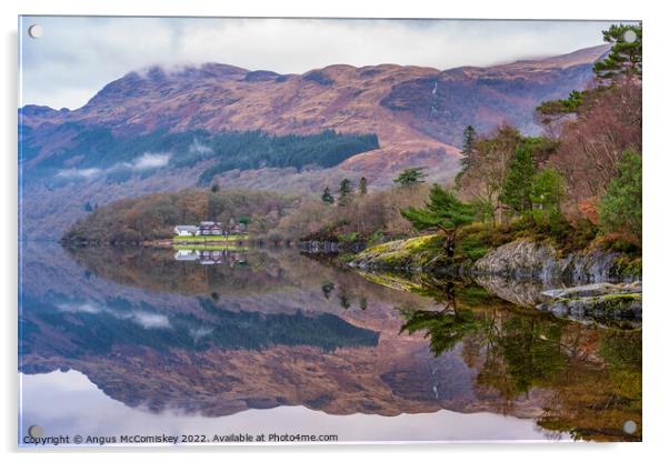 Rowardennan on Loch Lomond Acrylic by Angus McComiskey