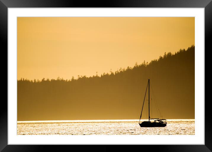 Sail boat in evening light Framed Mounted Print by Dirk Rüter