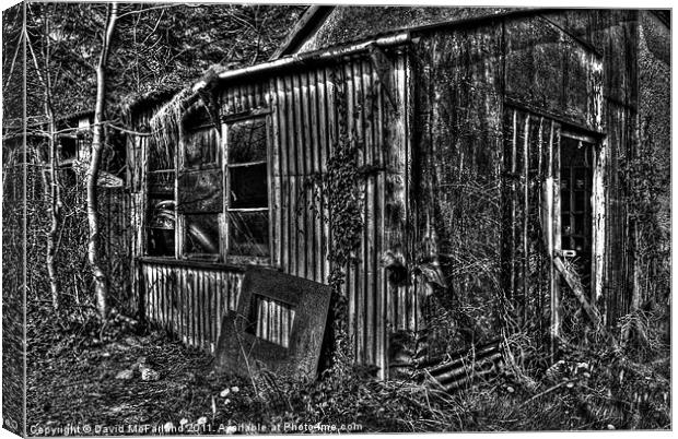 Ye olde shed Canvas Print by David McFarland