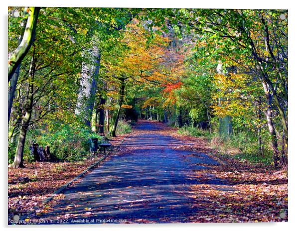 Autumn Avenue. Acrylic by john hill