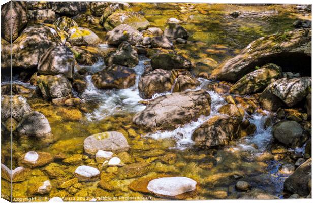 Rocky Water Pool in the Daintree Rainforest Canvas Print by Errol D'Souza