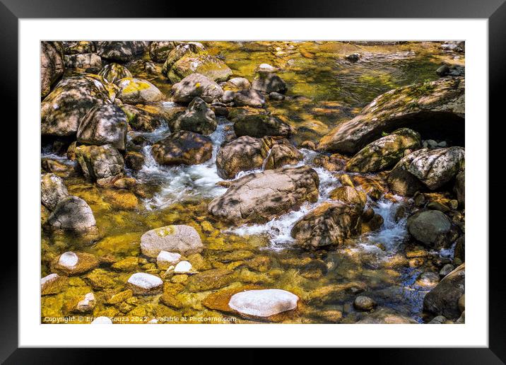 Rocky Water Pool in the Daintree Rainforest Framed Mounted Print by Errol D'Souza