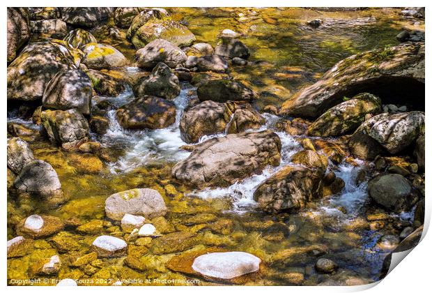 Rocky Water Pool in the Daintree Rainforest Print by Errol D'Souza