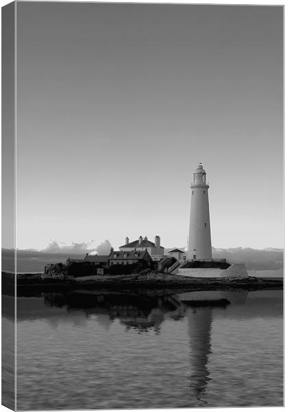 st mary`s lighthouse Canvas Print by Northeast Images