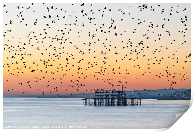 Starling Murmuration over Brighton Print by Sarah Smith