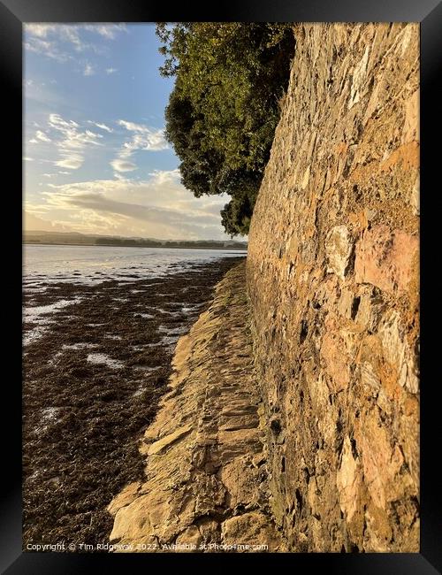 Exe Estuary  Framed Print by Tim Ridgeway