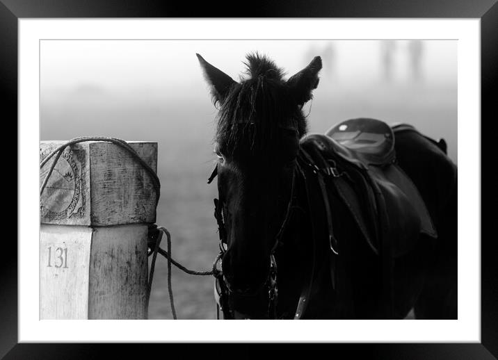 horse waiting in fog in black and white Framed Mounted Print by youri Mahieu