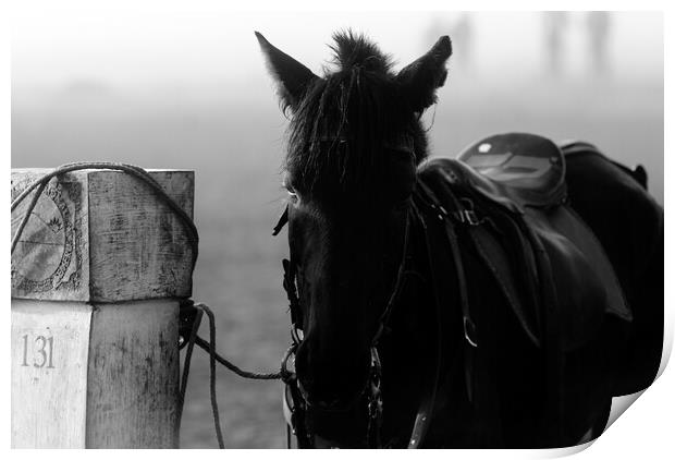 horse waiting in fog in black and white Print by youri Mahieu