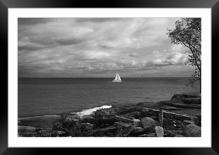 Smooth Sailing Framed Mounted Print by Kathleen Stephens