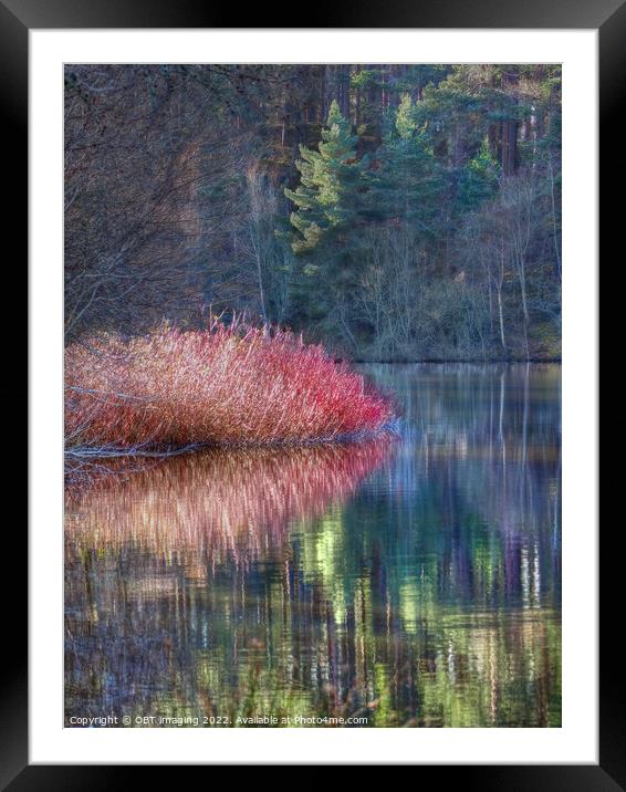 Winter Pink Pine Light Loch Reflection Highland Scotland Framed Mounted Print by OBT imaging