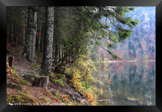Lac des Corbeaux in Autumn, France Framed Print by Imladris 