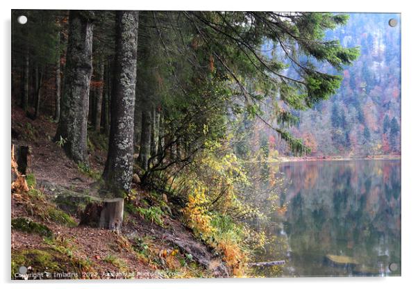 Lac des Corbeaux in Autumn, France Acrylic by Imladris 